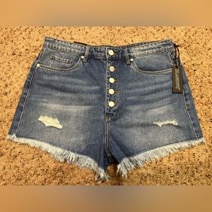 Blank NYC Denim The Barrow Vintage High Rise Cut Off Frayed Shorts Size 31 NWT